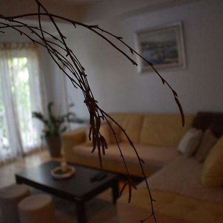 Fantasy Apartment 코츌라 외부 사진